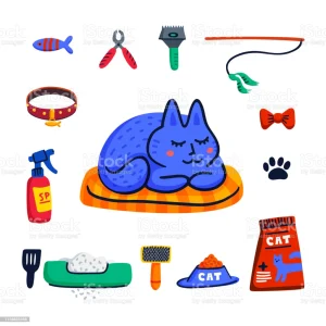 Cat Accessories