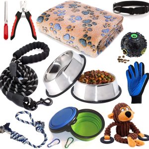 dog accessories