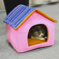 CAT home